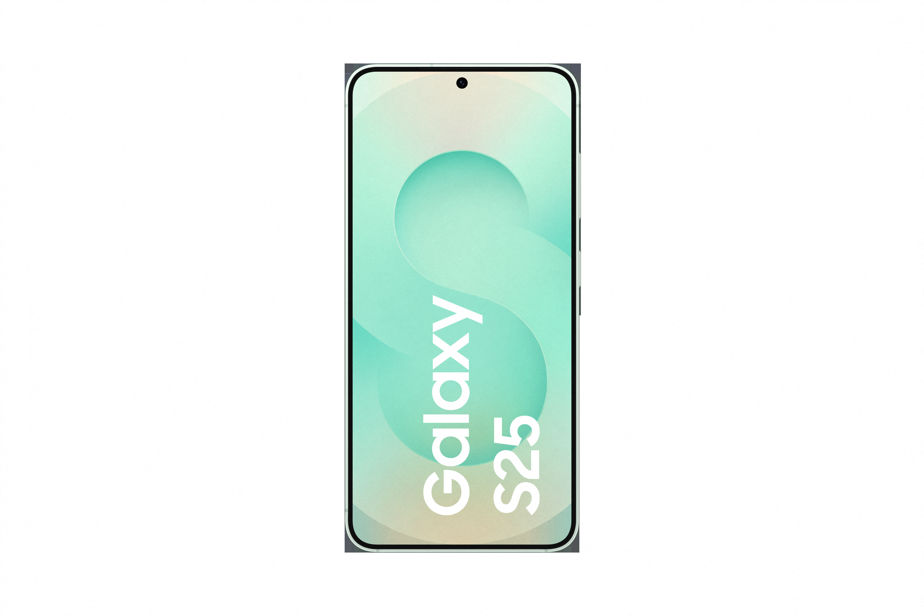 Galaxy S25 5G