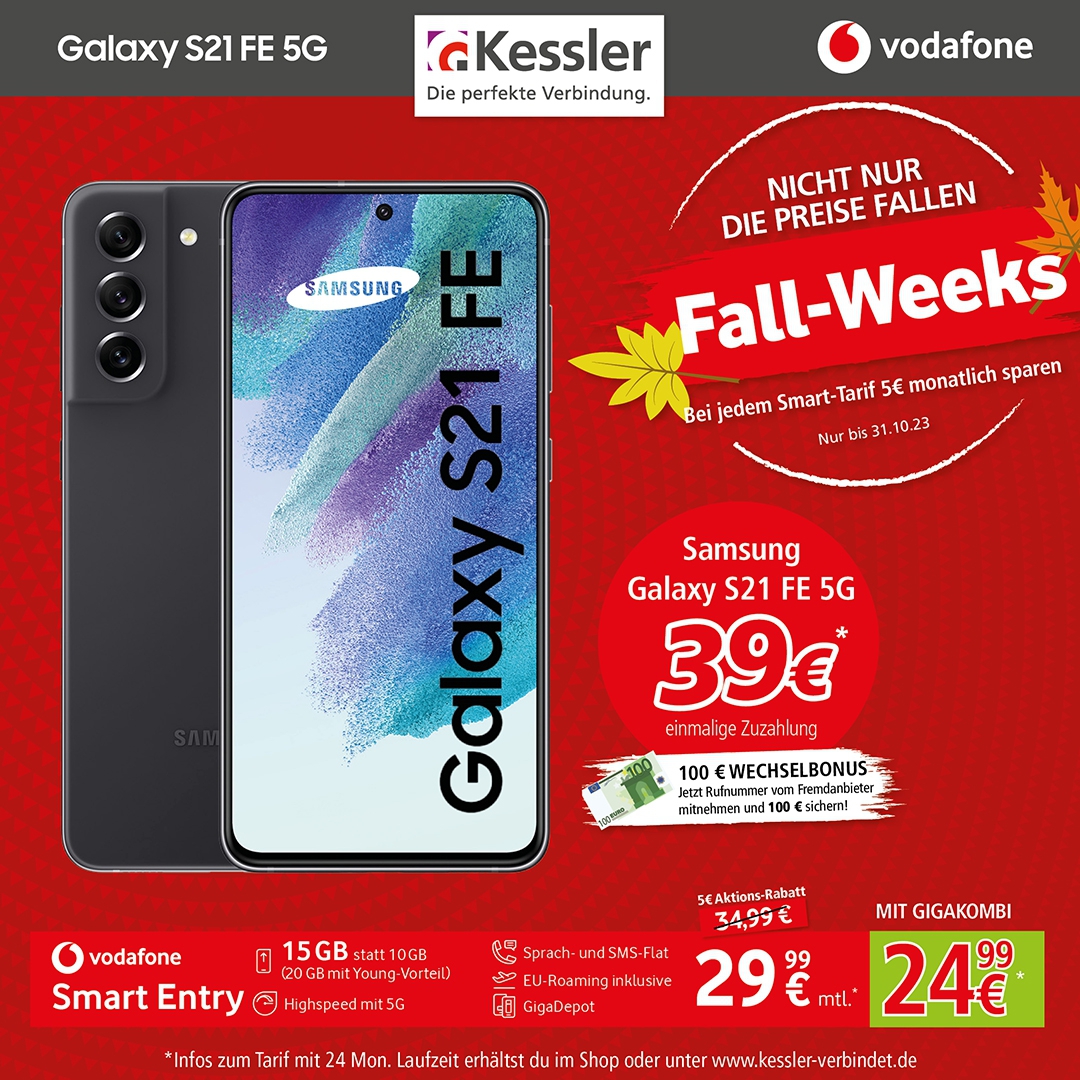 Smart Entry mit Samsung Galaxy S21 FE 5G